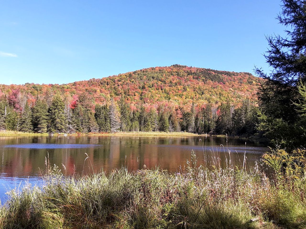 Beautiful Secluded Tiny House for a Quiet Peaceful Getaway Surrounded by Nature in Cabot, Vermont