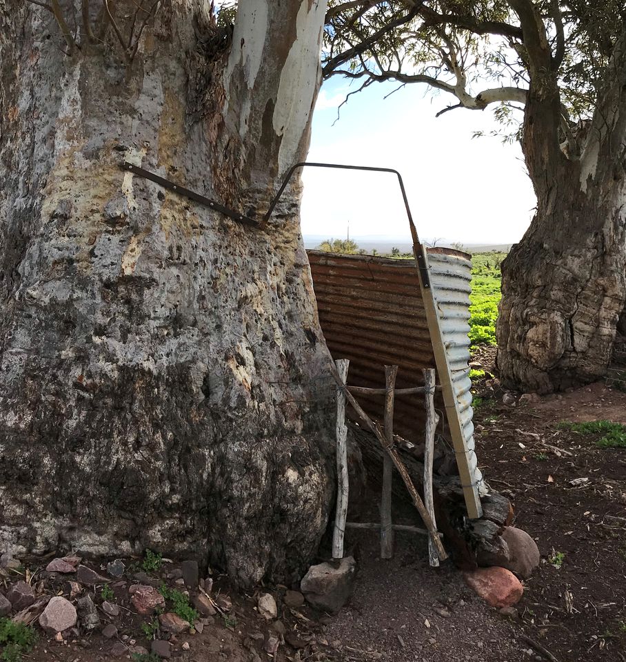 Off-Grid Glamping Van in a Beautiful Gum Creek for a Unique Outdoor Experience in Woolundunga, South Australia