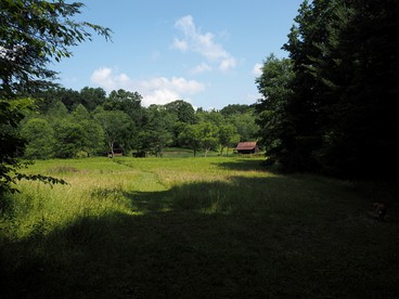undefined photo 2