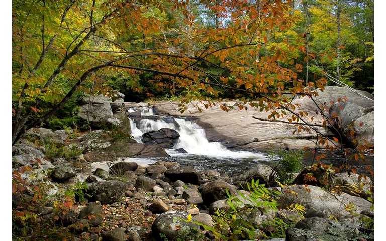 Safari Tents (Wevertown, New York, United States)