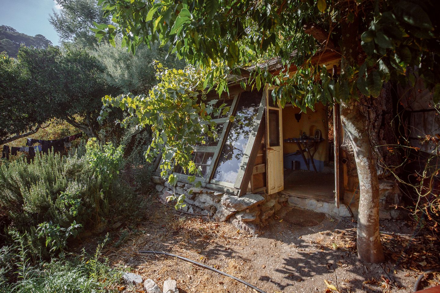 Beautiful Yurt Rental on a Permacultural Farm for Glamping in Andalucía