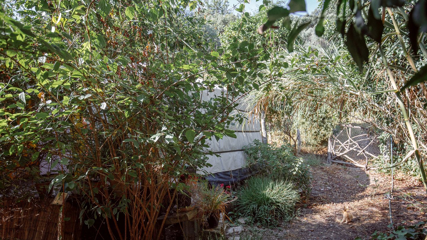 Beautiful Yurt Rental on a Permacultural Farm for Glamping in Andalucía