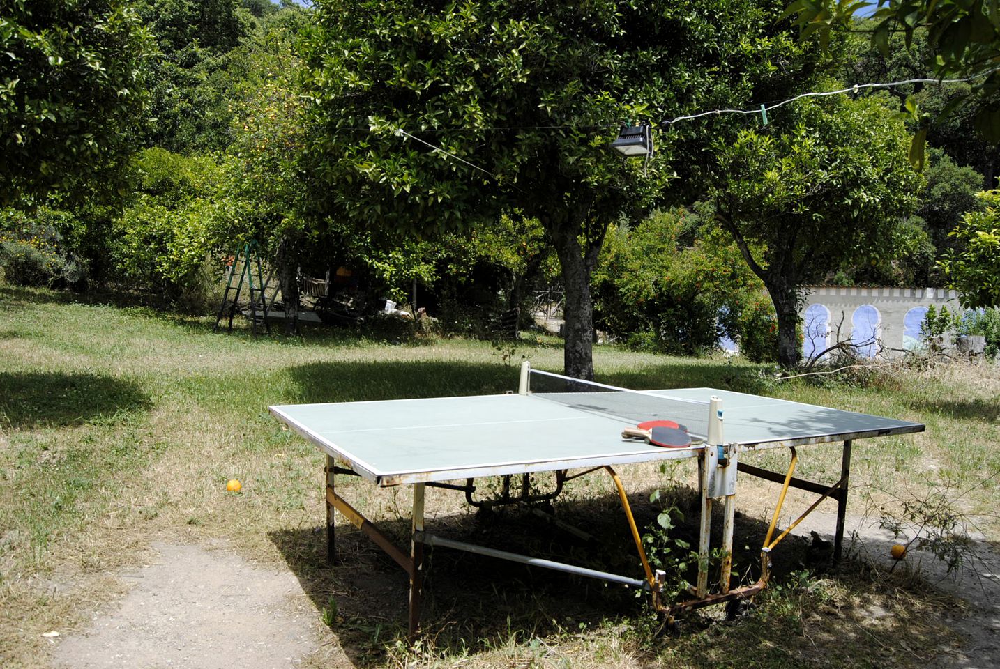 Beautiful Yurt Rental on a Permacultural Farm for Glamping in Andalucía