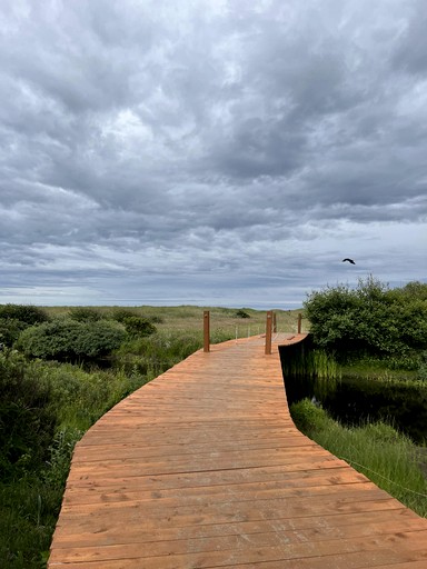 Stunning Copalis Beach Resort Perfect for a Glamping Escape in Washington State