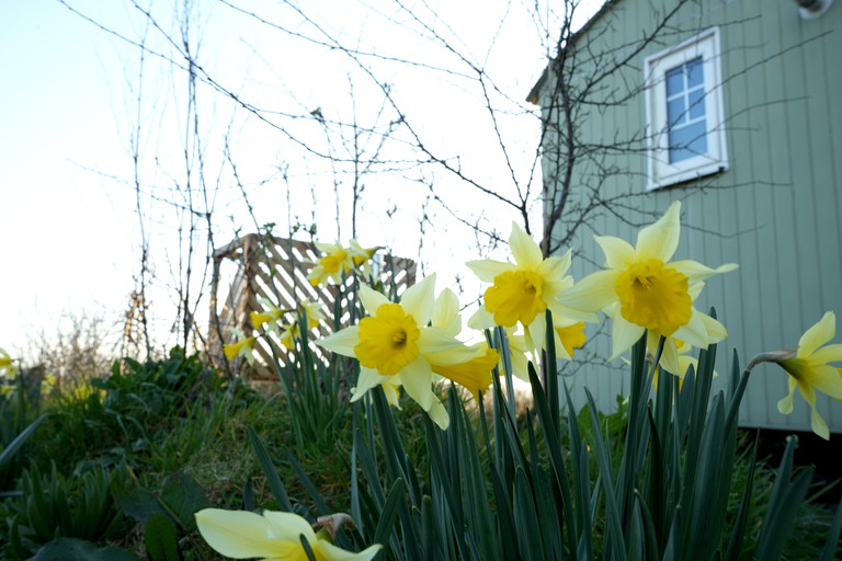 Huts (United Kingdom, Pembrokeshire, Wales)