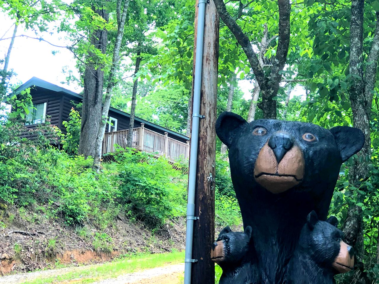 Charming North Carolina Cabin Rental with Mountain Views