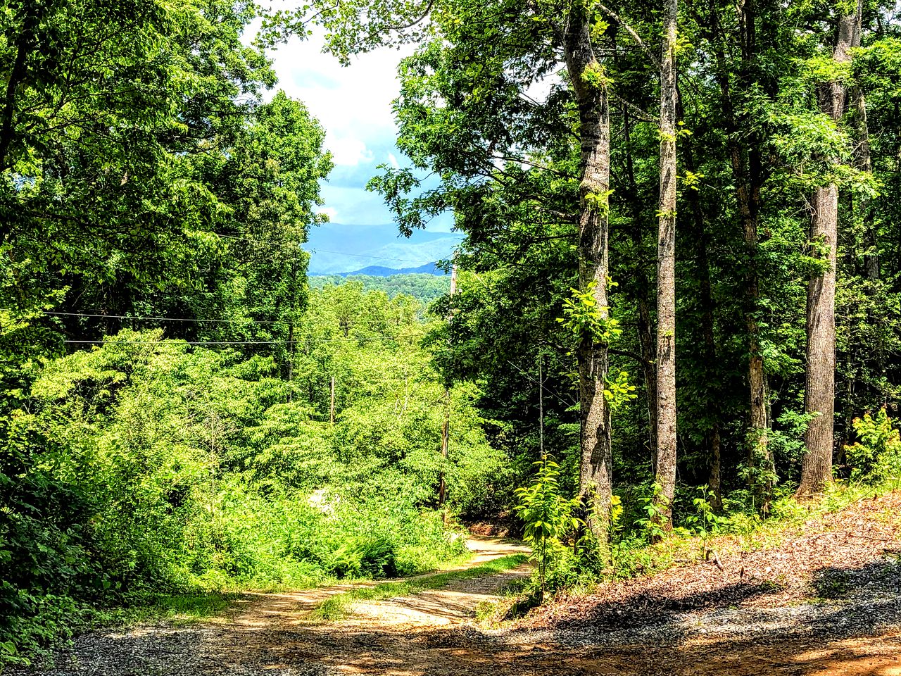 Charming North Carolina Cabin Rental with Mountain Views
