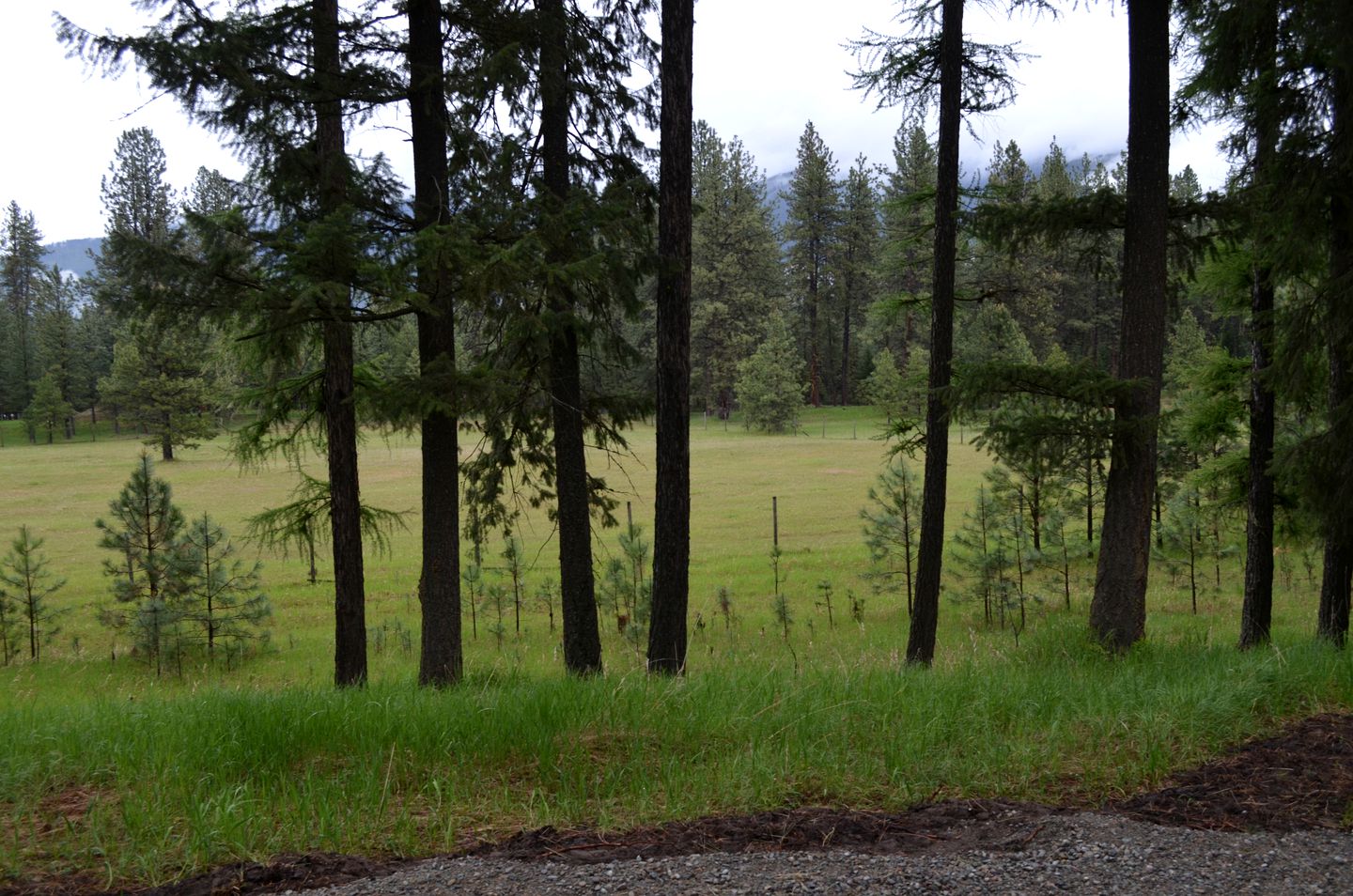 Vintage Camper Rental Perfect for Glamping in Montana