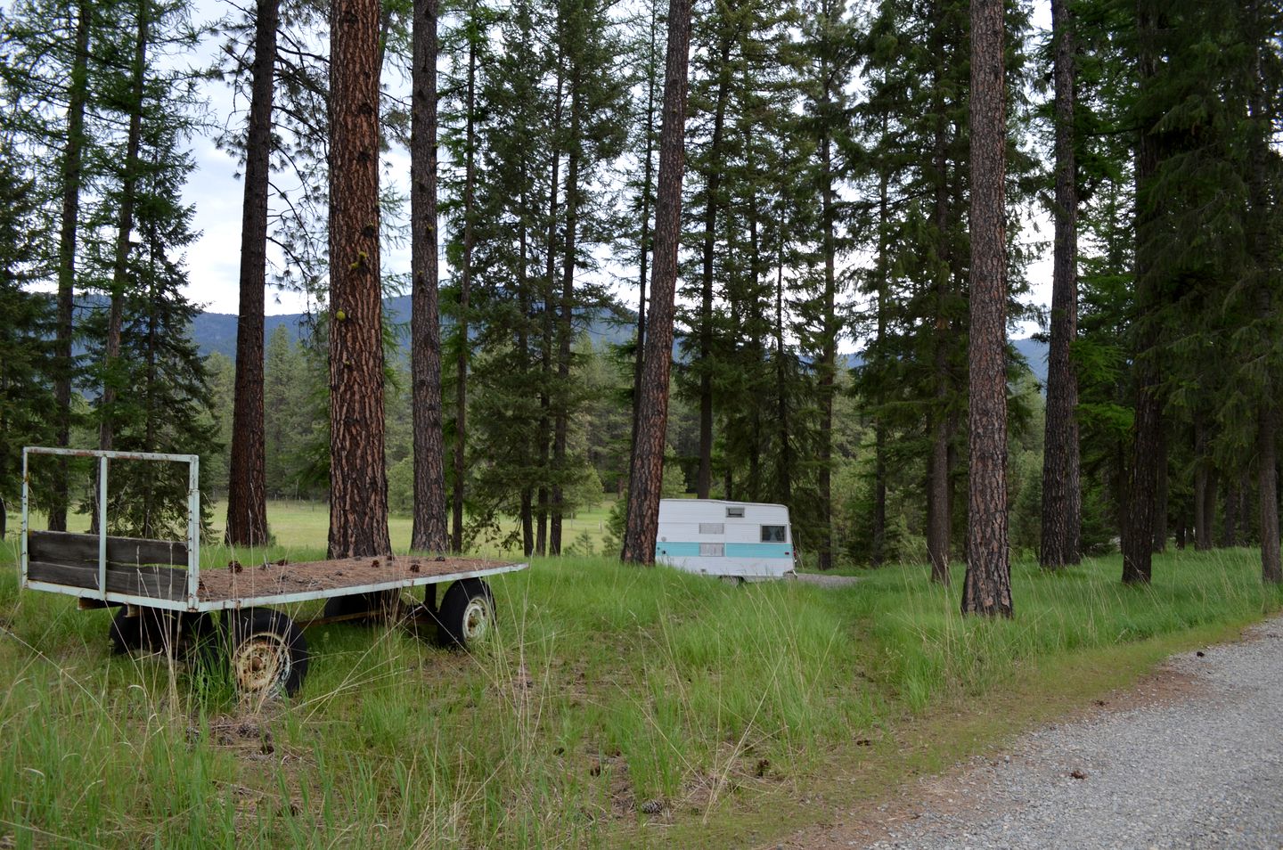 Vintage Camper Rental Perfect for Glamping in Montana