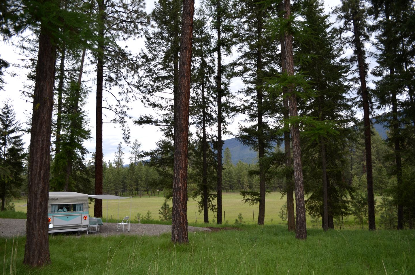 Vintage Camper Rental Perfect for Glamping in Montana
