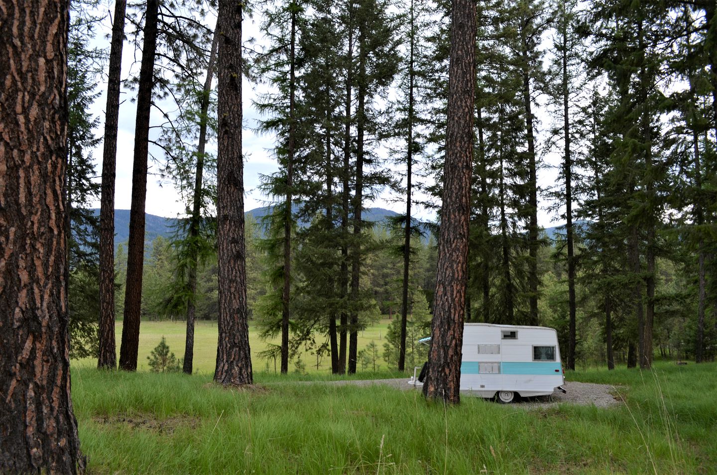 Vintage Camper Rental Perfect for Glamping in Montana