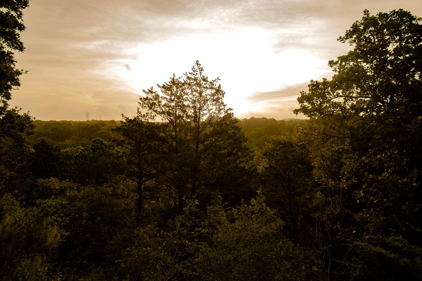 Luxury Yurt Rental near Austin for Glamping in Texas