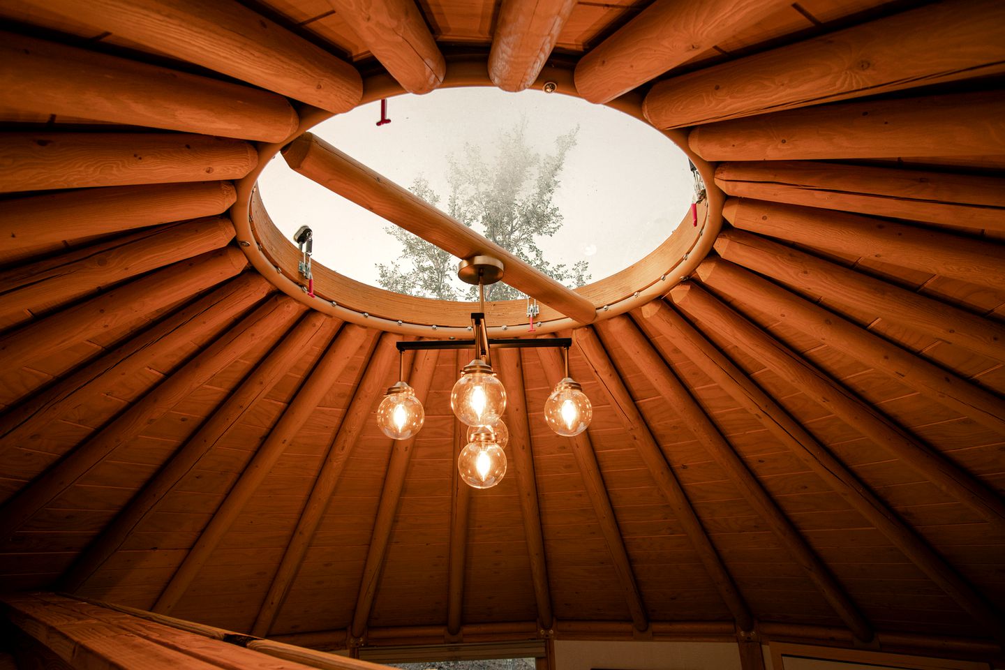 Luxury Yurt Rental near Austin for Glamping in Texas
