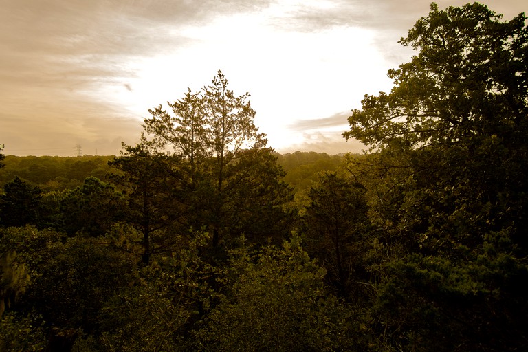 Yurts (Bastrop , Texas, United States)