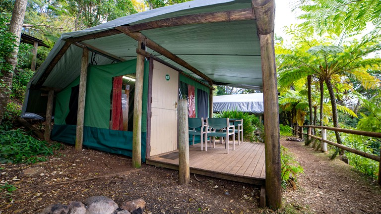 Safari Tents (Beechmont, Queensland, Australia)