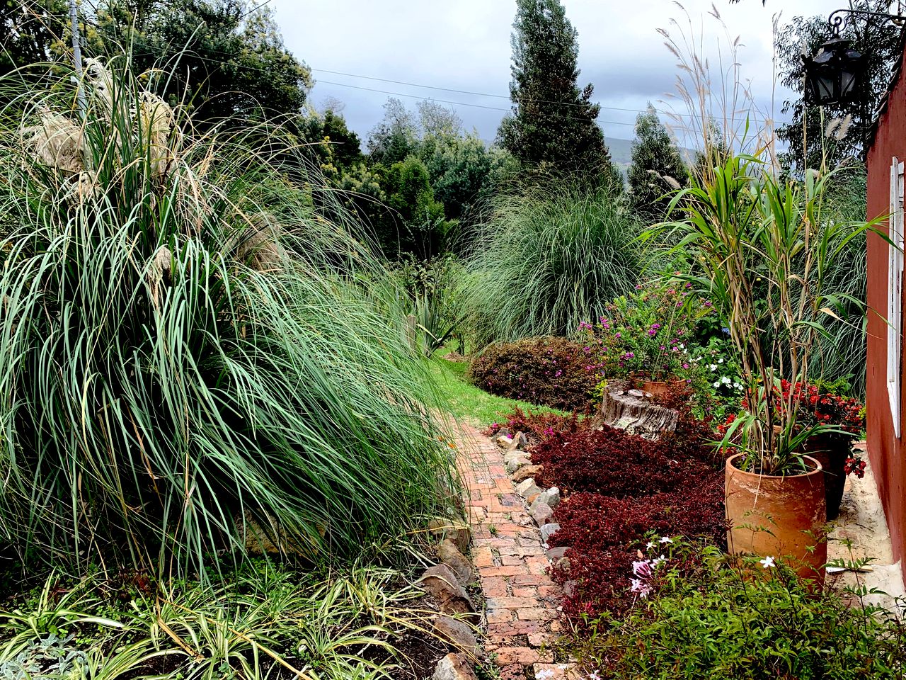 Peaceful Colombia Vacation Rental for a Getaway in Zipaquirá