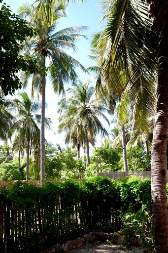 Huts (Indonesia)