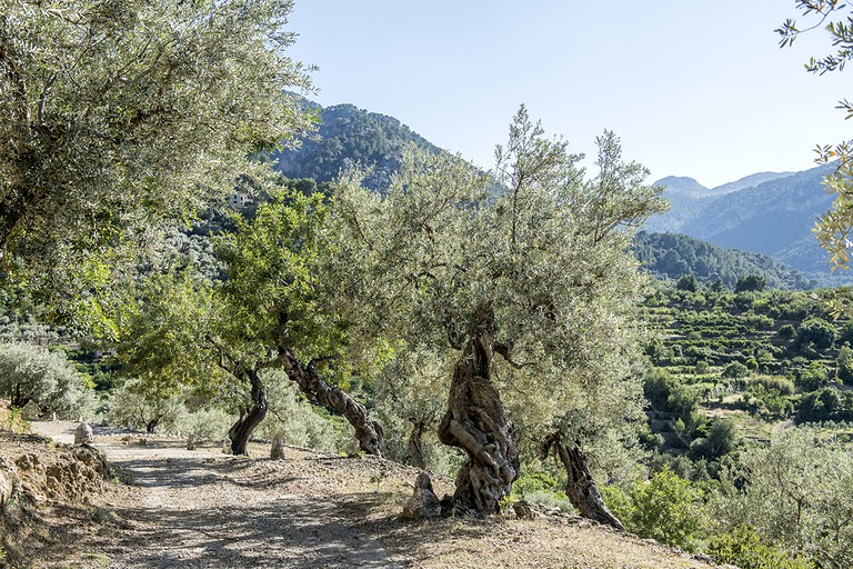 Villas (Soller, Balearic Islands, Spain)