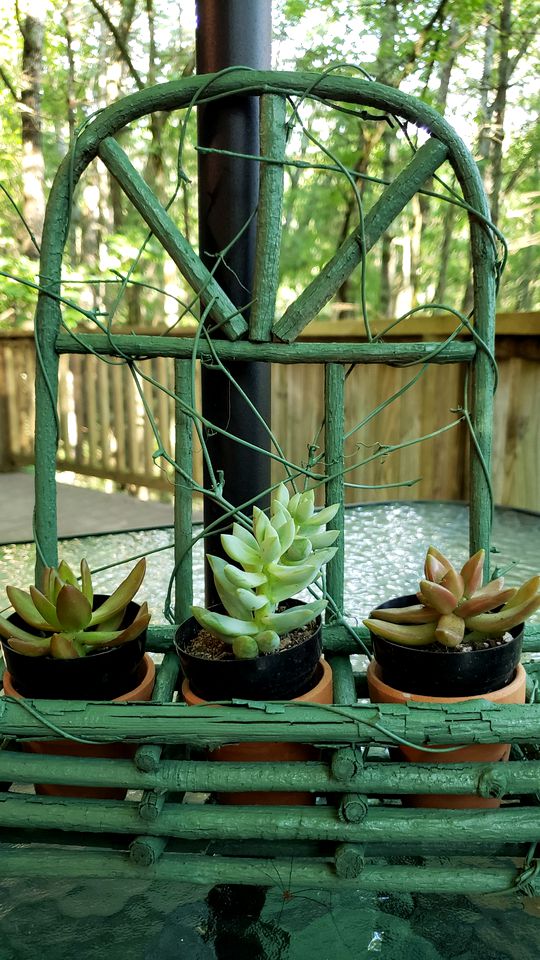 Rustic Tree Top Cabin in Sky Valley, Georgia