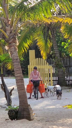 Beach Houses (Mexico, Mahahual, Quintana Roo)