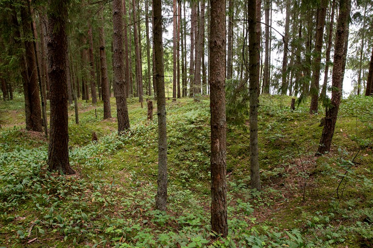 Tiny Houses (Latvia)