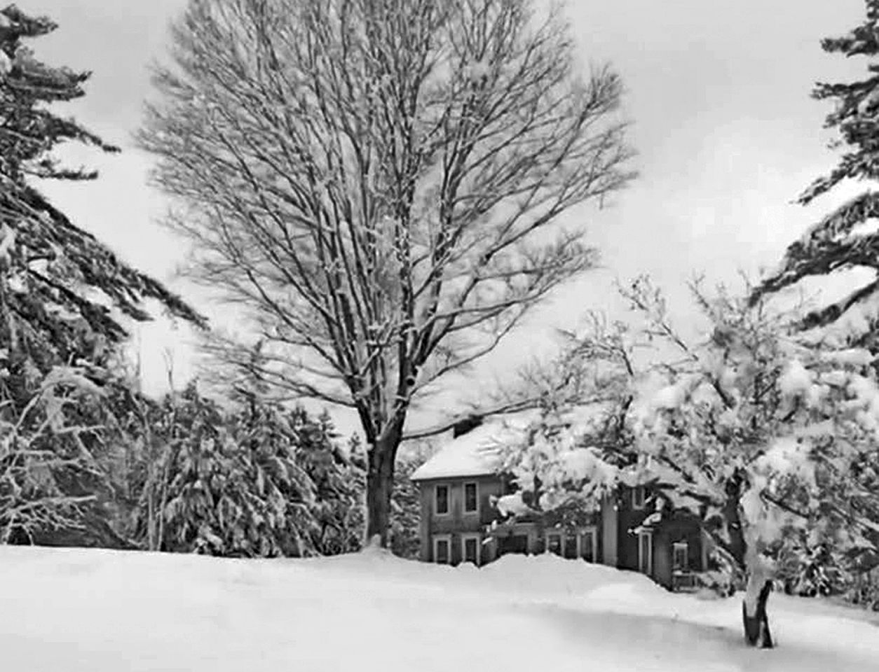 Gorgeous Green Mountain Retreat for a Family Vacation in Vermont