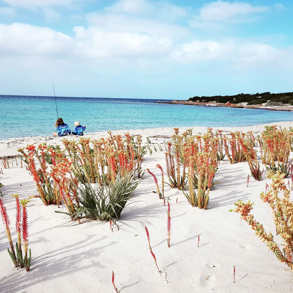 Gorgeous Lincoln National Park Camping Retreat