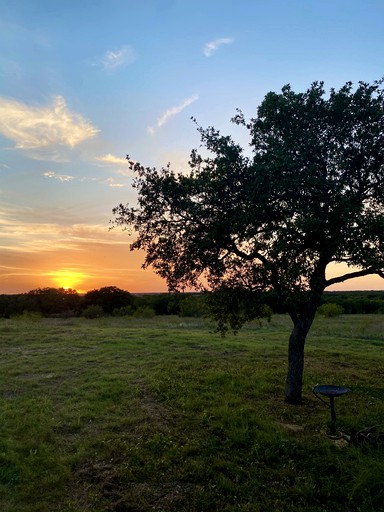 Cabins (Texas, United States of America)