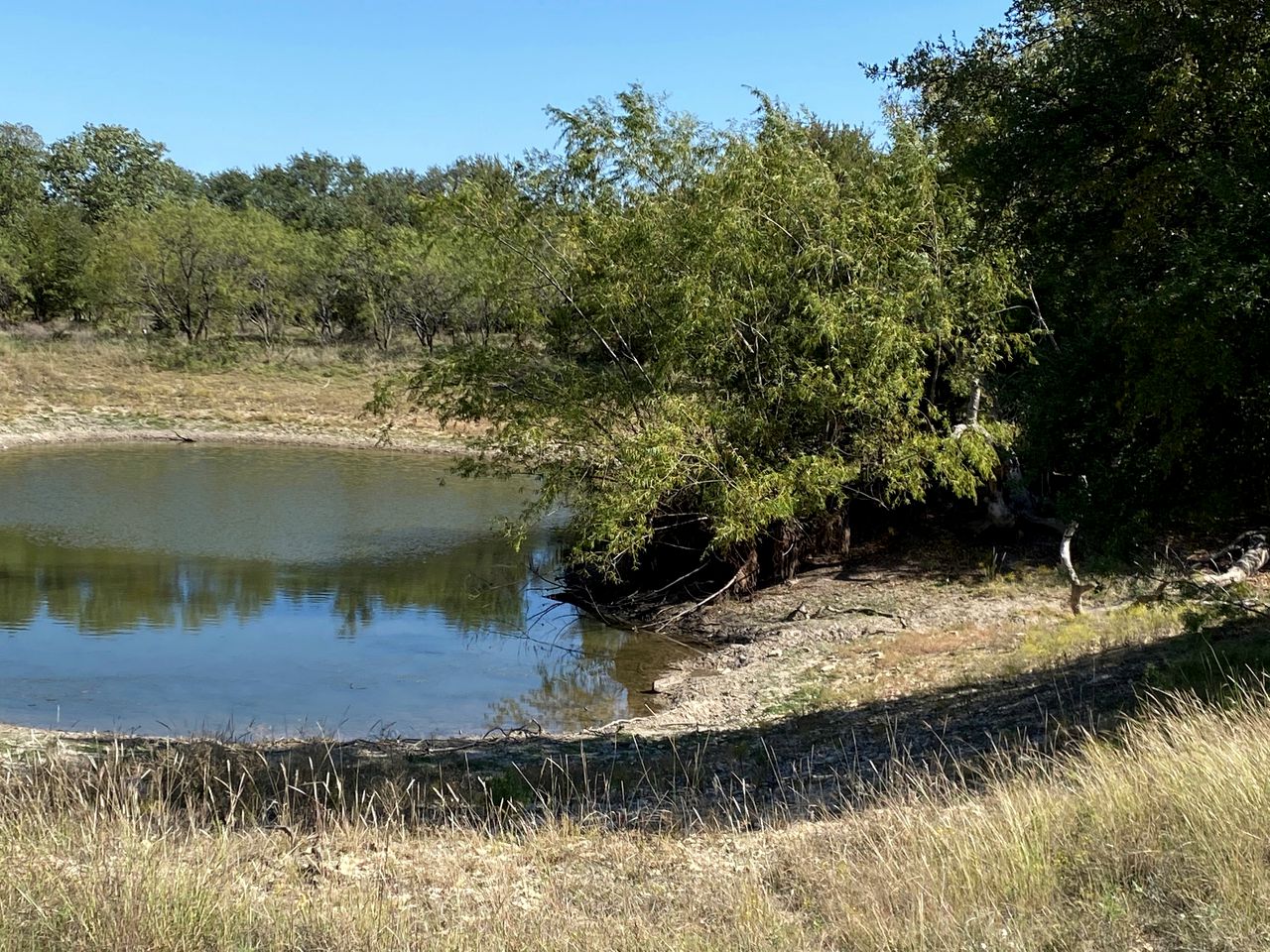 Cozy Cabin Rental Ideal for a Couple's Retreat in Texas