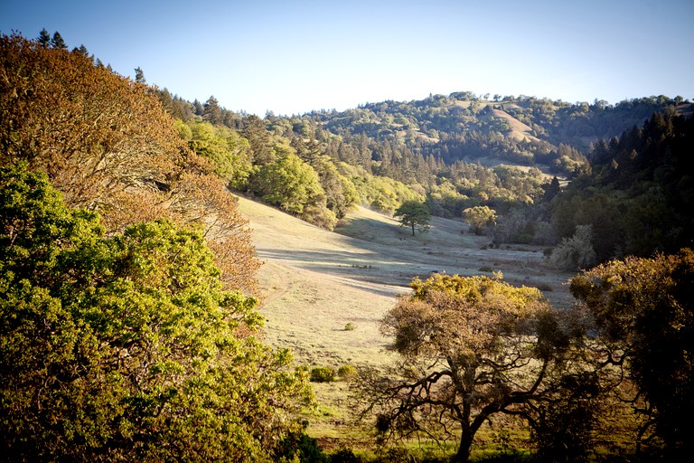Bell Tents (Boonville, California, United States of America)