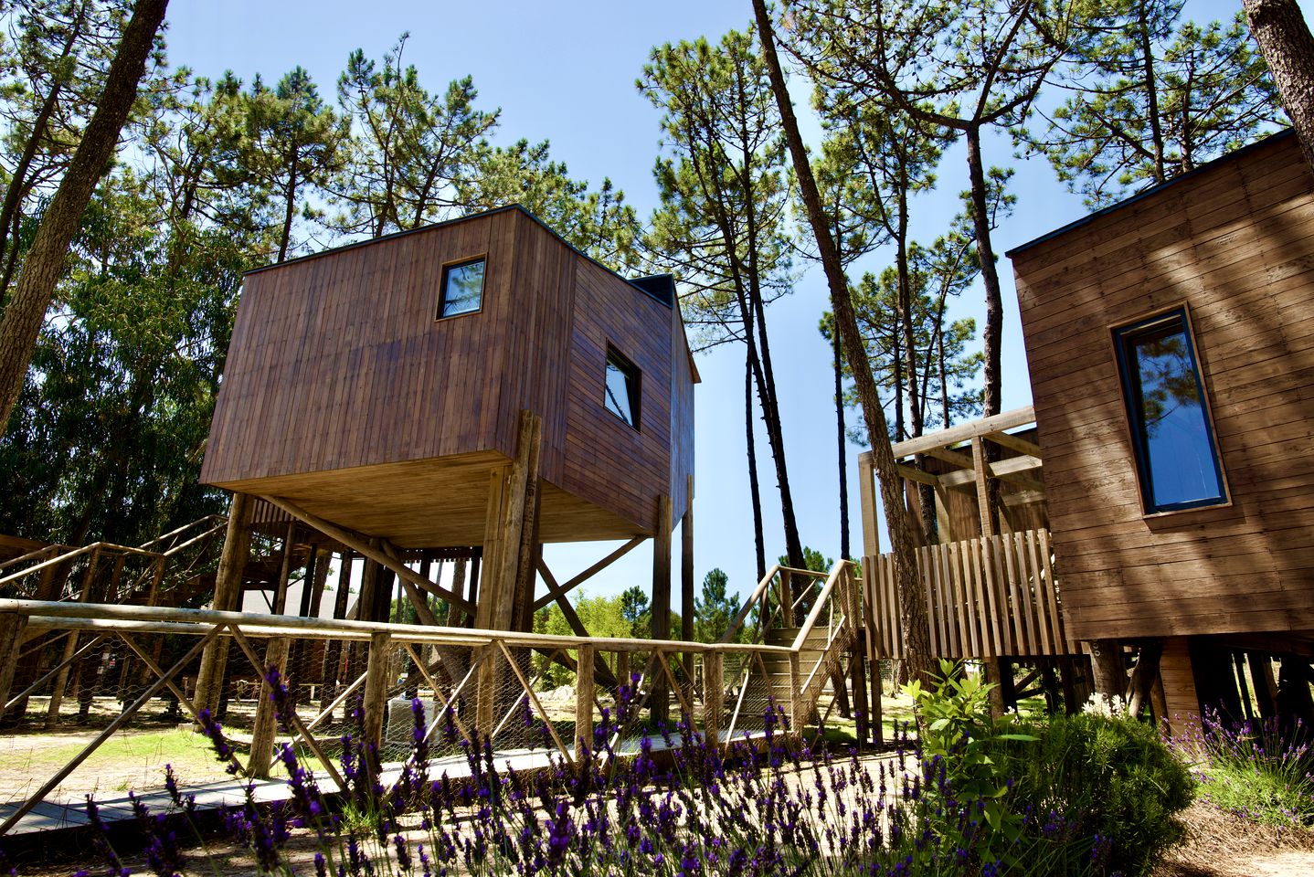 Amazing Portugal Tree House with a Spacious Sun Terrace