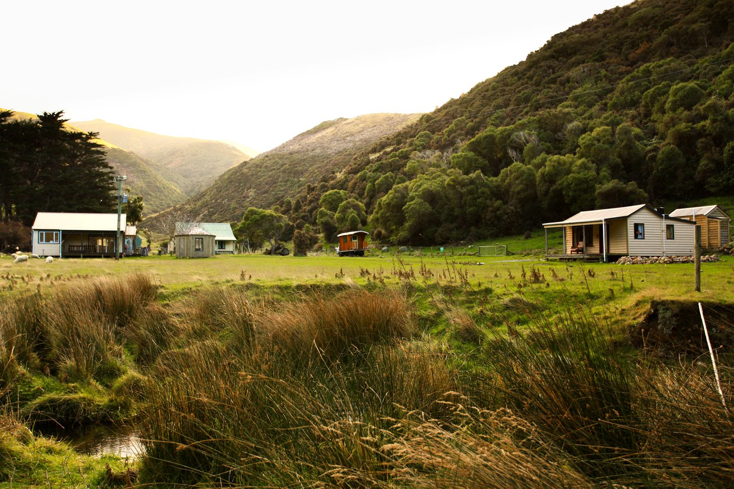 Quirky Akaroa Cabin in the Middle of a Penguin Colony