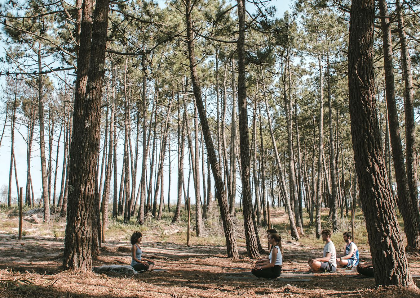 Beautiful Bell Tent by Praia da Tocha for a Fantastic Surfing Getaway in Portugal