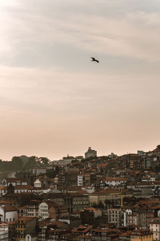 Beautiful Bell Tent by Praia da Tocha for a Fantastic Surfing Getaway in Portugal