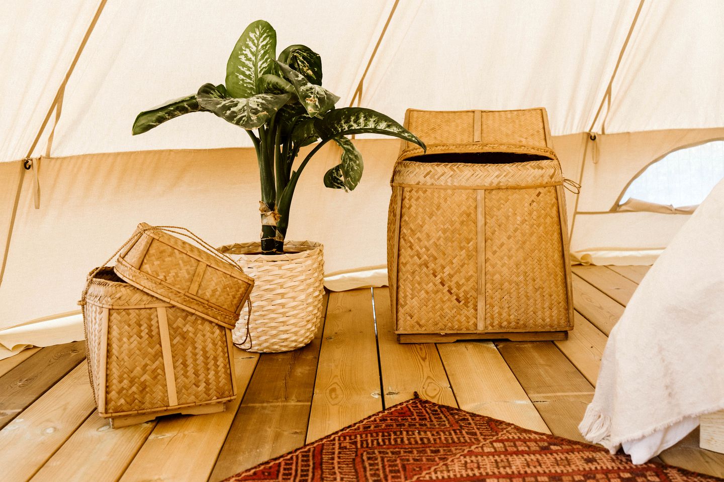 Beautiful Bell Tent by Praia da Tocha for a Fantastic Surfing Getaway in Portugal