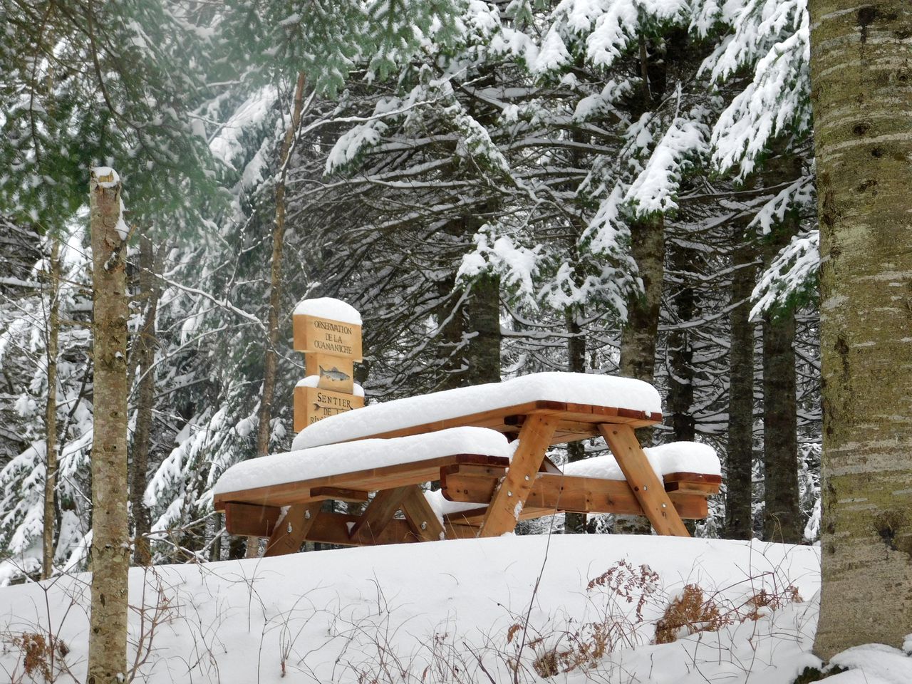 Fantastic Tipi Rental by the Sauvage River for Glamping in Quebec