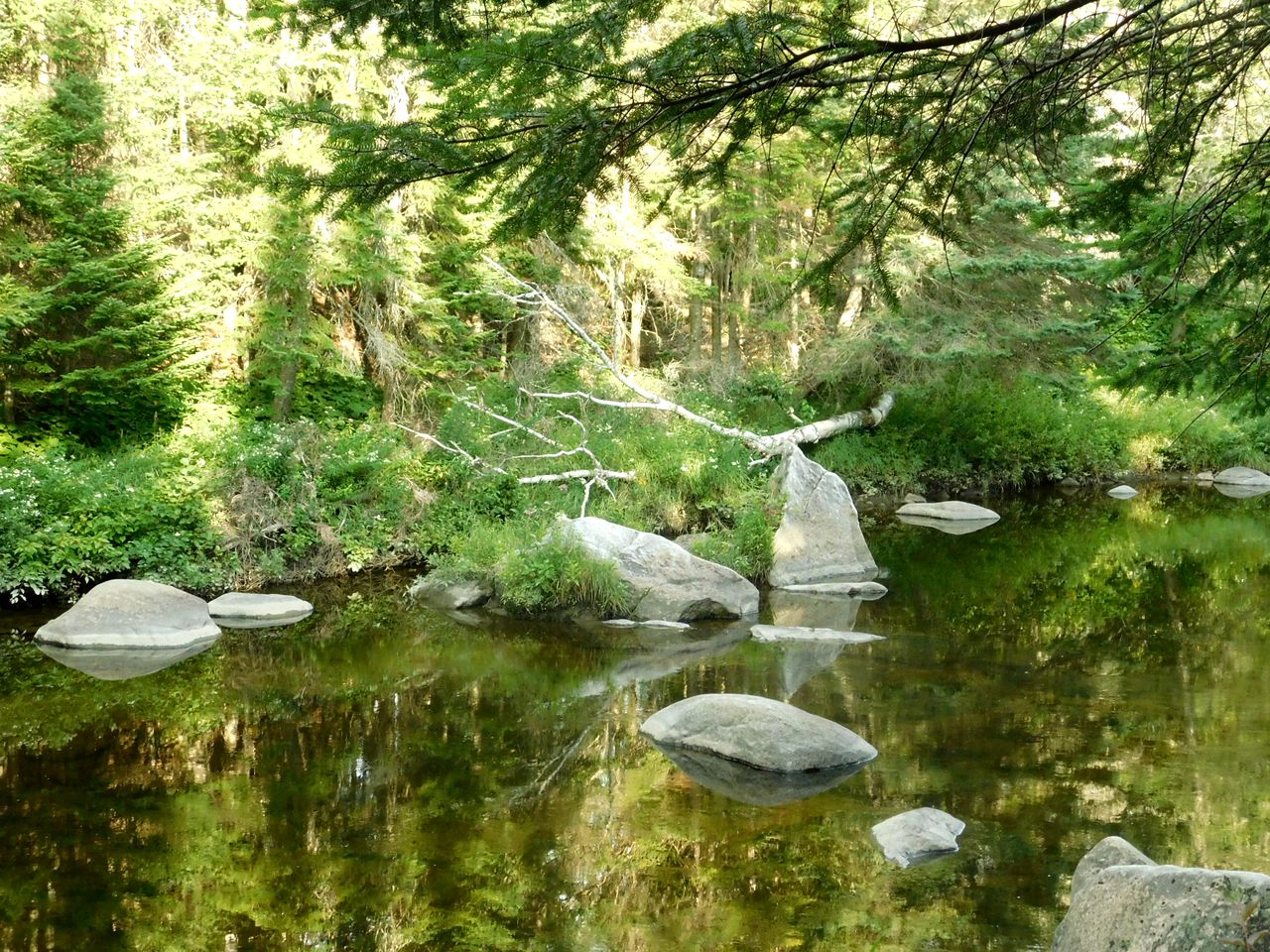 Fantastic Tipi Rental by the Sauvage River for Glamping in Quebec