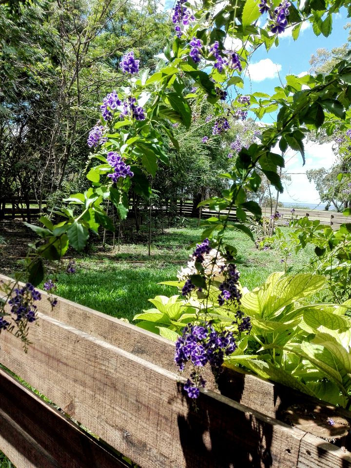 Peaceful Colonia Accommodation for a Vacation in Uruguay