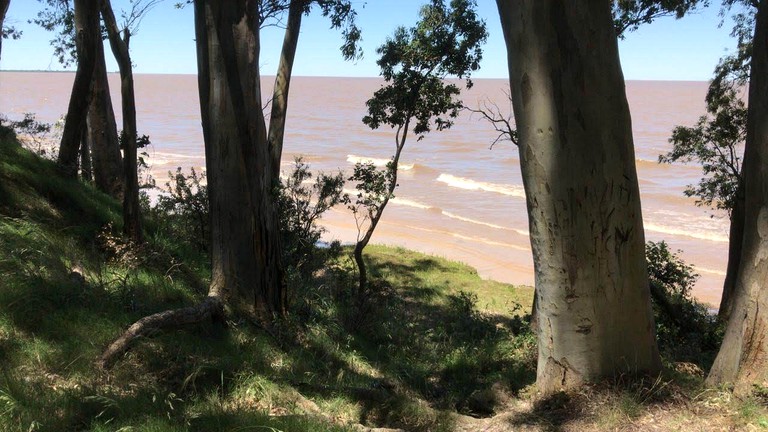 Beach Houses (Uruguay)