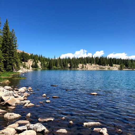Cabins (Glenwood Springs, Colorado, United States of America)