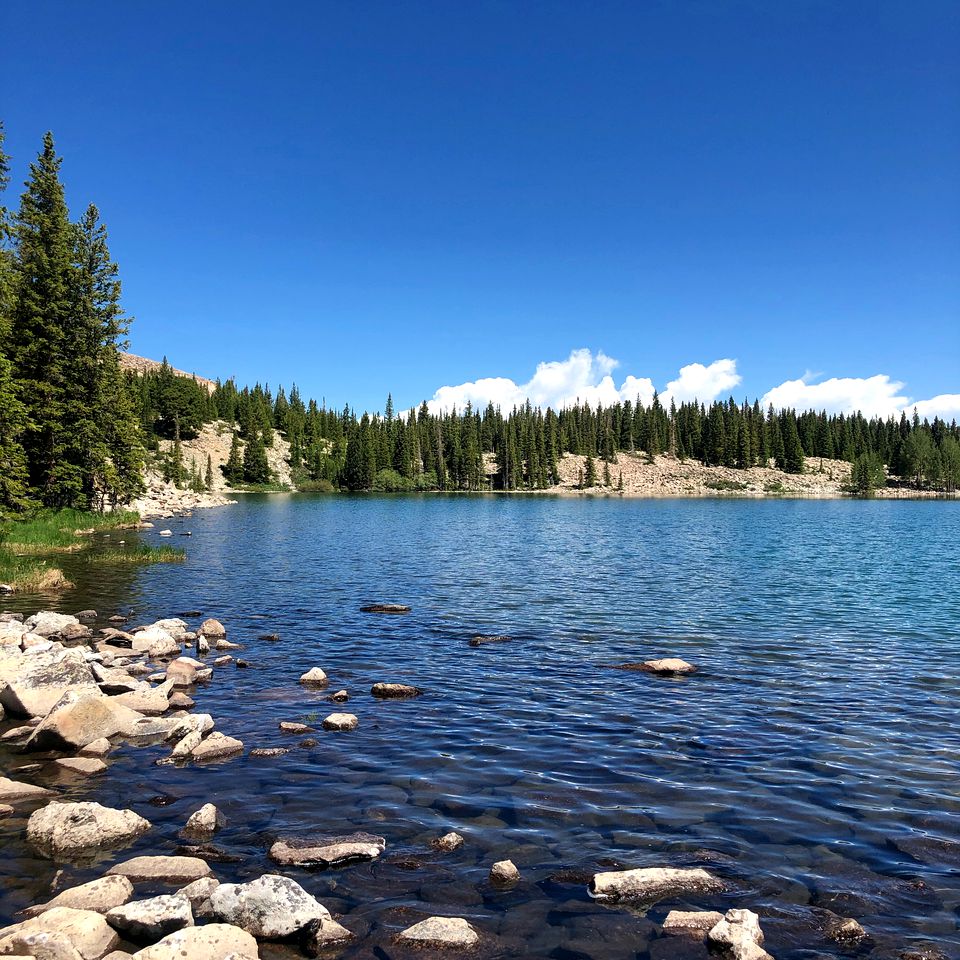 Luxurious Mtn Home w/ Amazing Views of Aspen Mt