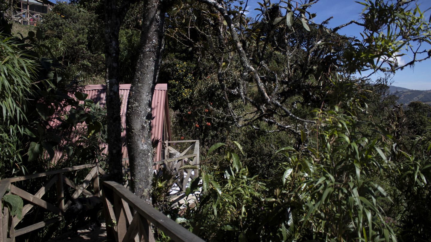 Peaceful Colombia Retreat near Chingaza National Park