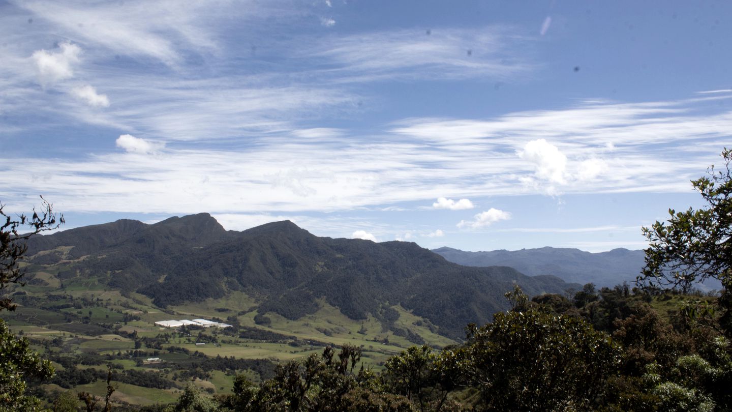 Peaceful Colombia Retreat near Chingaza National Park