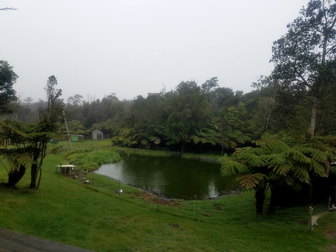 Barns (Volcano, Hawaii, United States of America)