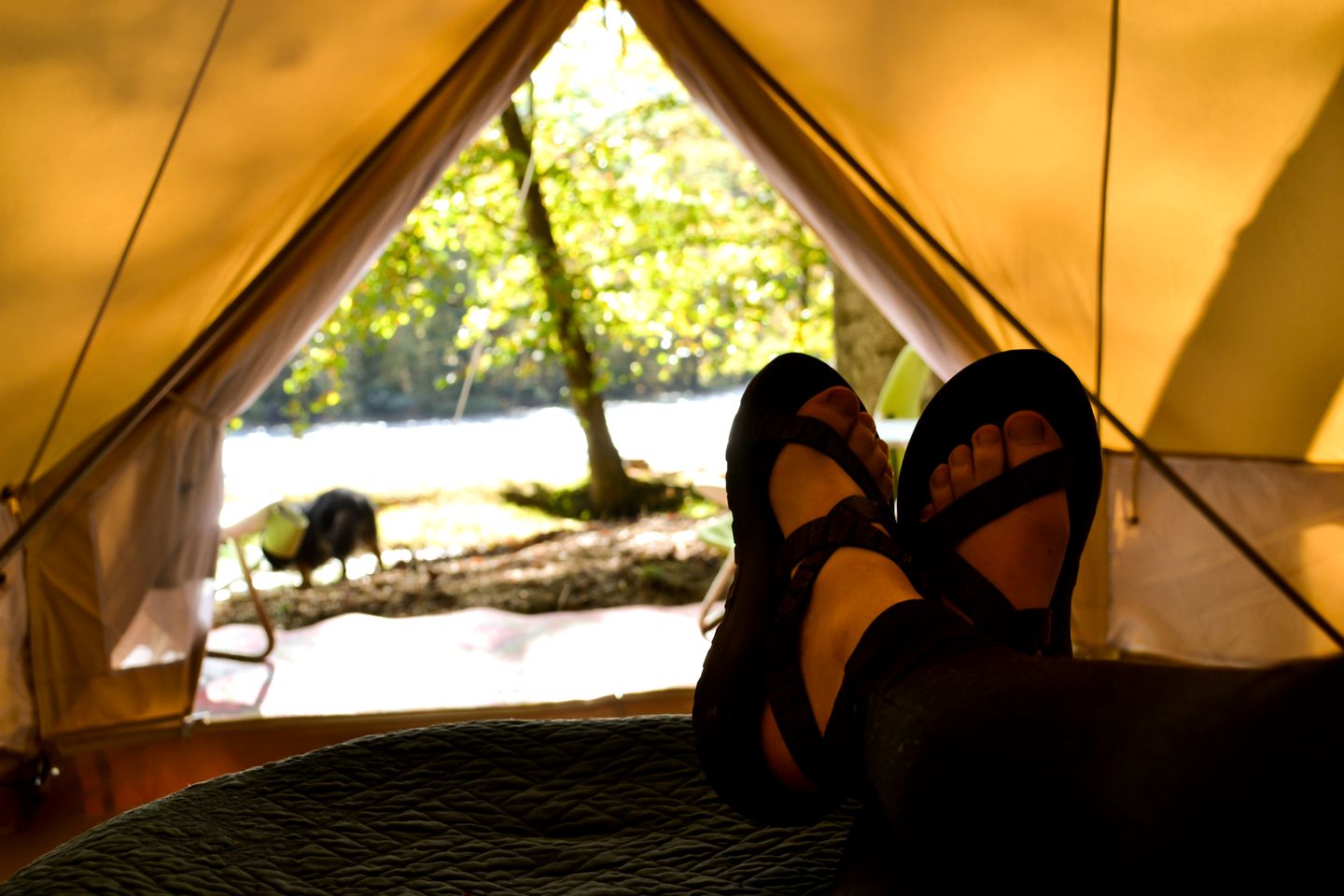 Charming Bell Tent Rental for Glamping in Tennessee