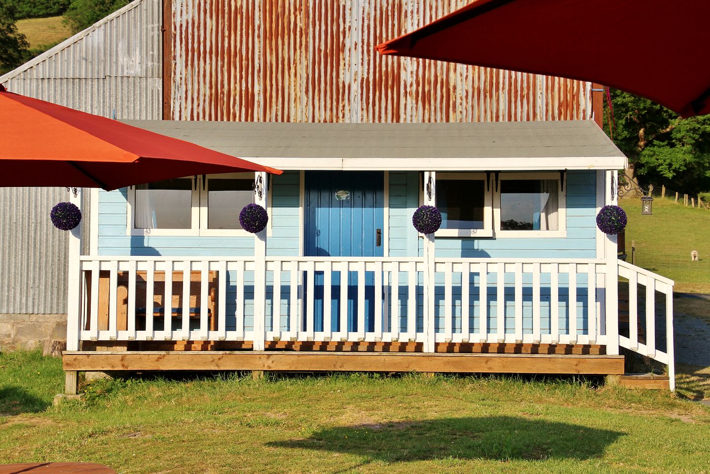 Ranch House Ray