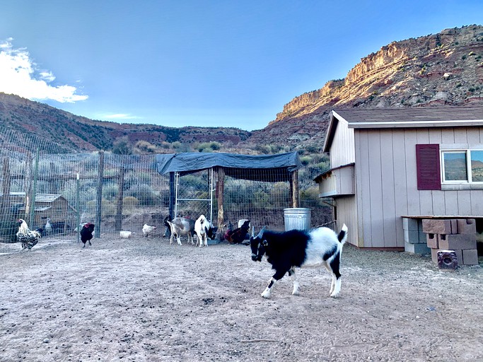 Tiny Houses (La Verkin, Utah, United States of America)