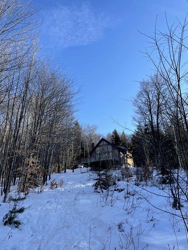 Cabins (United States of America)