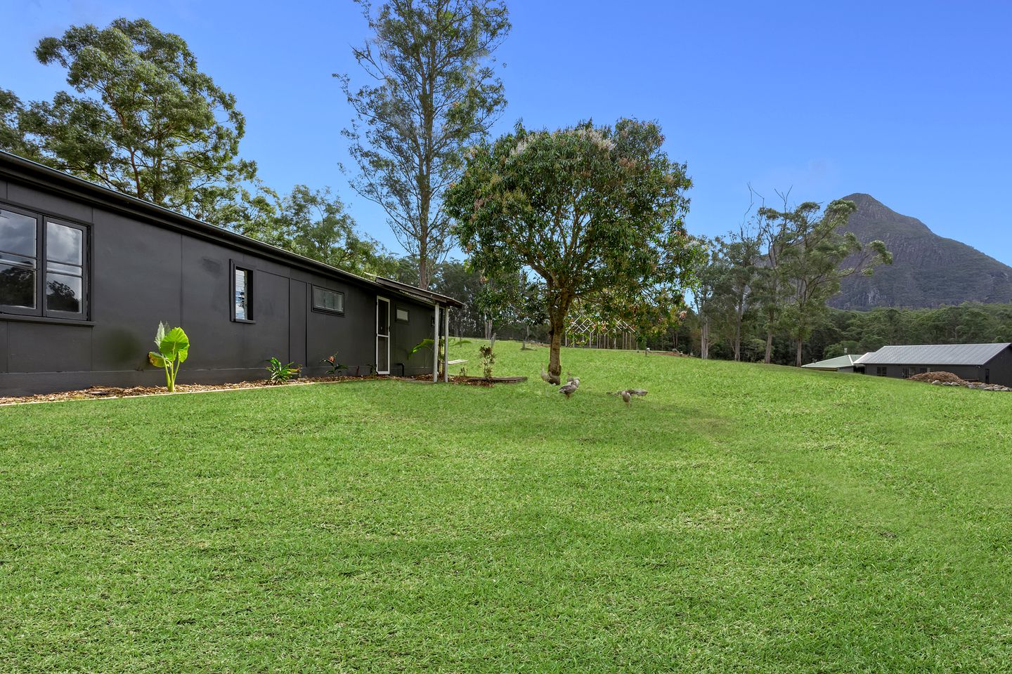 Beautifully Renovated Sunshine Coast Holiday Home on a Farm