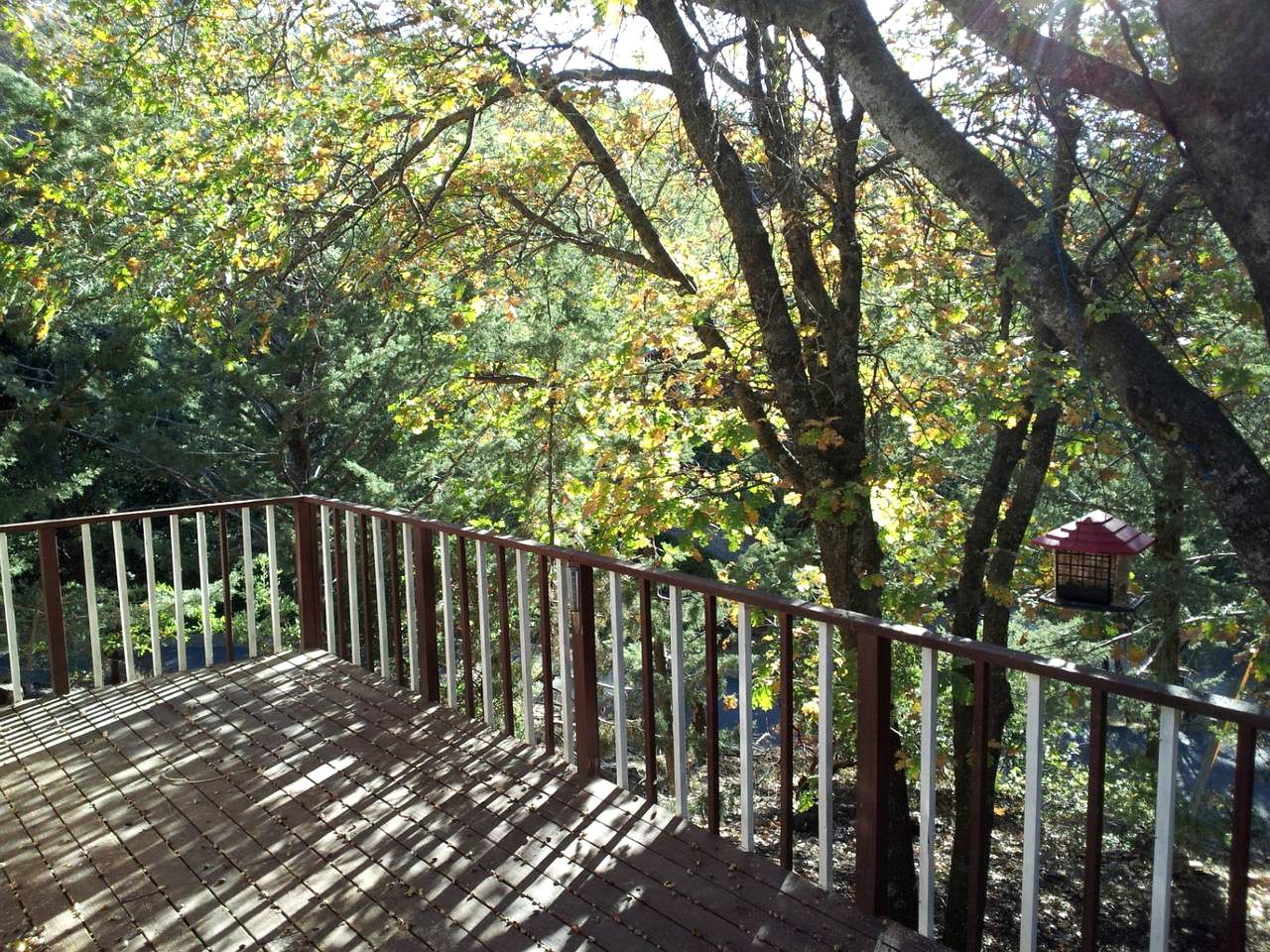 Secluded Cabin in Julian for a Pet-Friendly Weekend Getaway in California